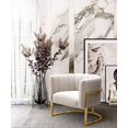 thumbnail image 1 of TOV Furniture The Magnolia Collection Fauteuil d'Appoint Moderne pour Salon, Crème Texturée et Or, 1 of 5