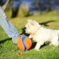thumbnail image 2 of Chuckit! Grand jouet pour chien Kick Fetch Kick to Play Ball, 2 of 12