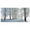 thumbnail image 1 of Designart Winter Trees Backlit by Morning Sun Canvas Wall Art, 1 of 4