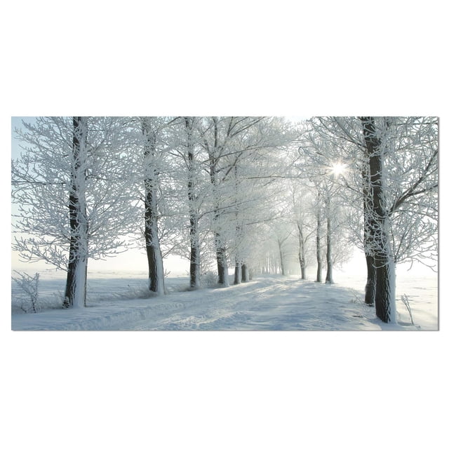 Designart Winter Trees Backlit by Morning Sun Canvas Wall Art depicts a snow-covered path lined with frost-coated trees under soft morning sunlight, printed on premium cotton canvas with gallery-wrapped sides, arriving ready to hang and suitable for adding a serene forest landscape to home décor.