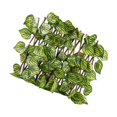 thumbnail image 1 of thinsony Écran d'Intimité Rétractable pour Clôture de Jardin Extérieur Feuille de Melon D\'eau, 1 of 9