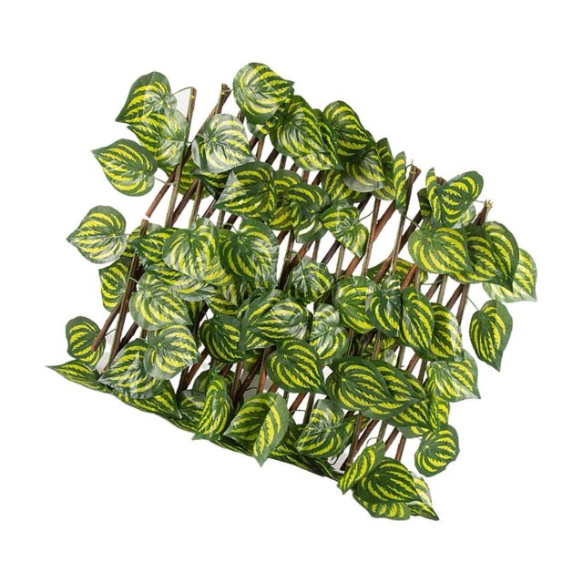 thinsony Écran d'Intimité Rétractable pour Clôture de Jardin Extérieur Feuille de Melon D\'eau