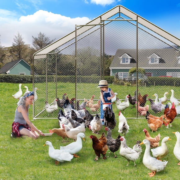 GloryStar Large Metal Chicken Coop, Walk in Poultry Cage Chicken Run Pen with Waterproof Oxford Roof & Steep-Pitched Roof for Chickens/Ducks/Rabbits