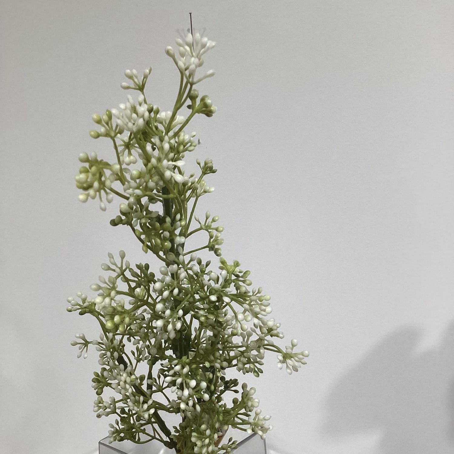 FLEUR DE SOUFFLE DE BEBE