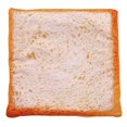 thumbnail image 1 of Pet Bed For Dogs Pets Cat Mat For Dogs Blanket Kennel Teddy Four Seasons Durable Soft Toast Bread And Poached Eggs Pizza Mat Bacon Mat M, 1 of 6