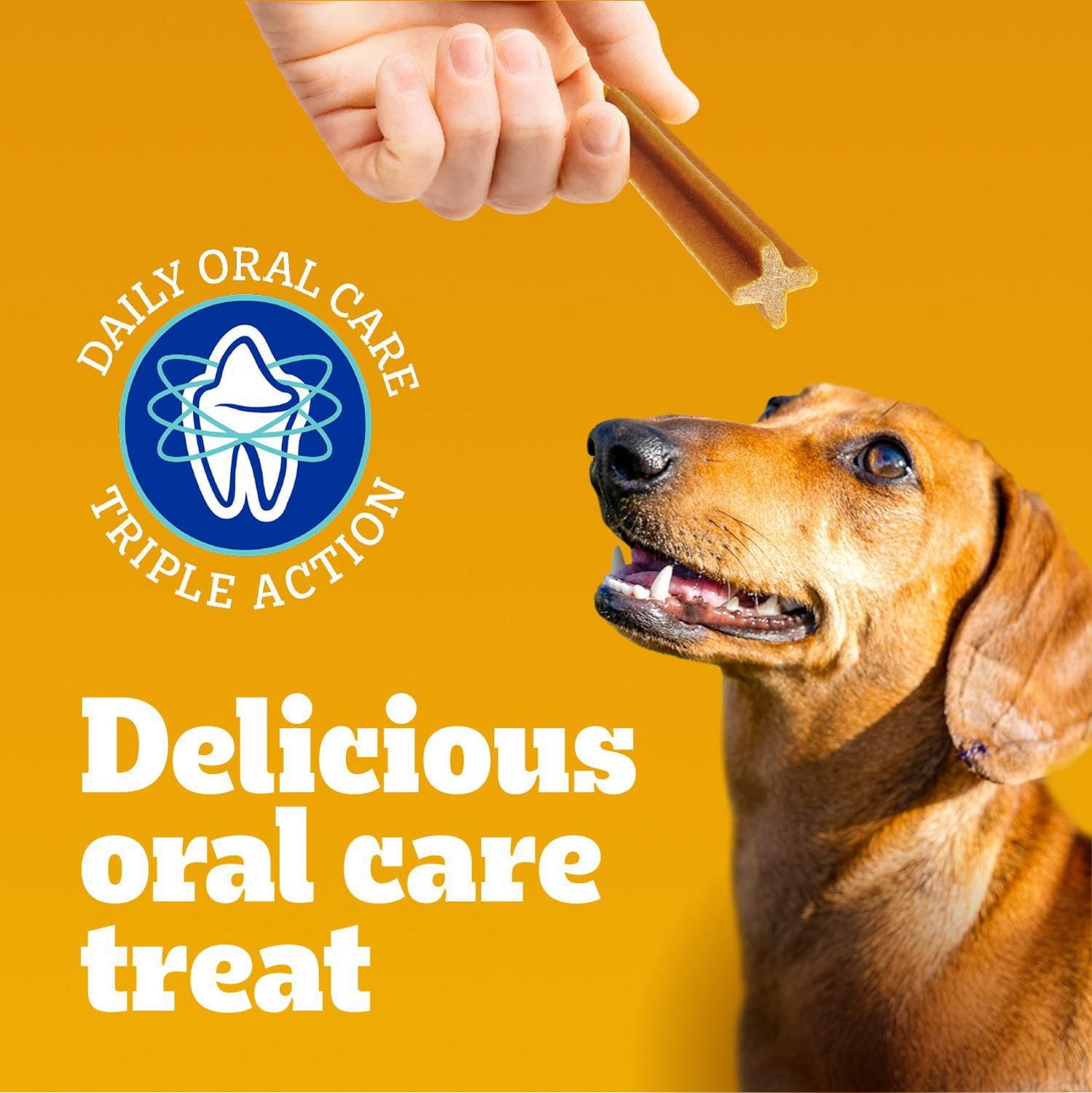 PEDIGREE DENTASTIX Gâteries de soins buccodentaires saveur de bœuf pour chiens adultes de race moyenne – réduisent l’accumulation de plaque et de tartre, 40 bâtonnets