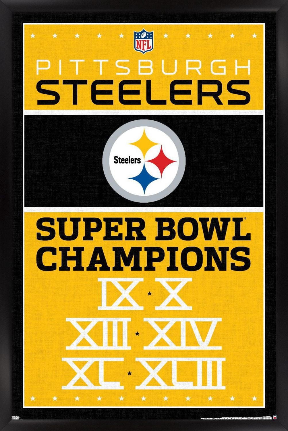 NFL Pittsburgh Steelers - Champions 13