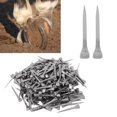thumbnail image 4 of 250 Pcs Clous de Chaussures de Cheval, Kit d'Assortiment de Clous de Chaussures de Cheval, Équipement de Sport Équestre pour Course de Clous de Chaussures de Cheval, 4 of 8