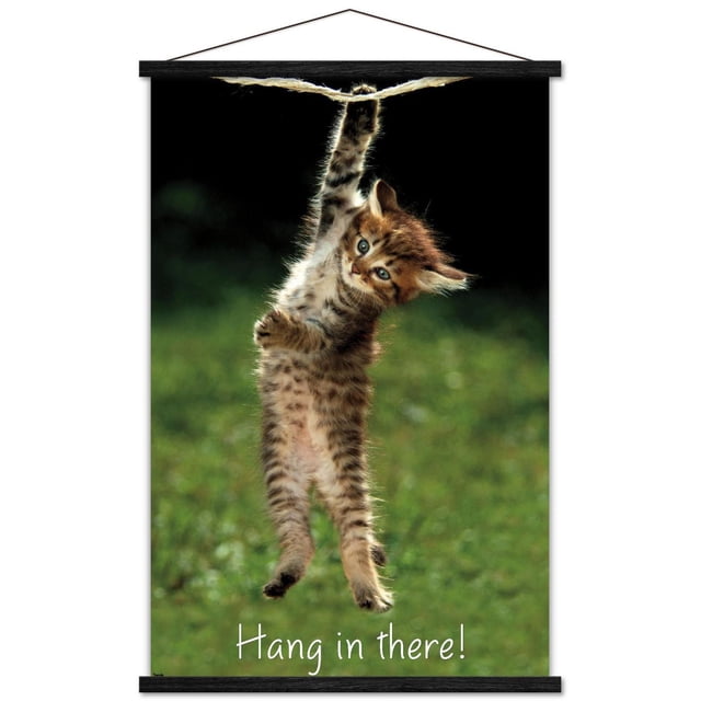 Famous Kitten Affiche Murale « Hang In There », 22,375 Po x 34 Po, Montrant un Kitten Tigré Brun Orienté vers l'Avant Suspendu d'Une Patte à une Corde Effilochée sur un Fond Vert Flou avec la phrase « Hang In There! » en Texte Blanc au Bas, Imprimée sur du Papier d'Affiche Lustré, Convenant à la Déco de la Maison et à l'Art Mural au Bureau.