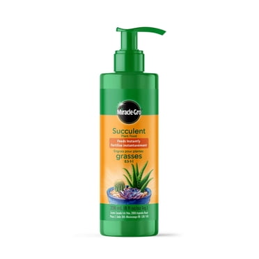 Miracle-Gro Succulent Plant Food 236mL