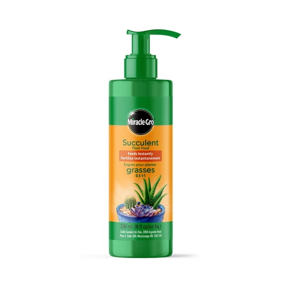 Miracle-Gro Succulent Plant Food 236mL