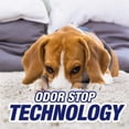 thumbnail image 2 of Resolve détachant tapis pour taches d'animaux – Poudre 510g, 2 of 7