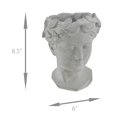 thumbnail image 4 of Classic Greek Grey Lady Indoor Outdoor Cement Head Planter, 4 of 4
