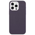 thumbnail image 1 of OtterBox Étui de Protection Symmetry Cactus Leather pour iPhone 15 Pro Max, 1 of 4