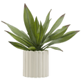 thumbnail image 1 of Bouclair Agave Artificielle, 1 of 3