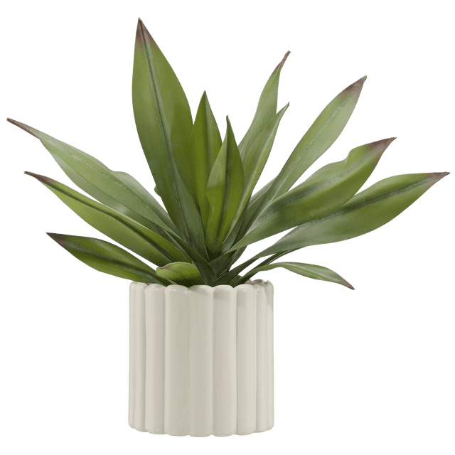 Bouclair Plante d'Agave Artificielle avec des Feuilles Vertes Vibrantes Réalistes dans un pot en Céramique Blanc Côtelé, Montrée d'Une Vue avant Centrée, Parfaite pour les Bureaux, les Étagères Ou les tables d'Appoint dans la Déco Maison Moderne.