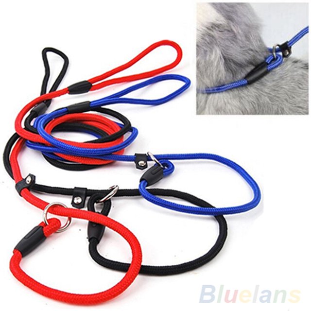 HEVIRGO Pet Dog Nylon Rope Training Leash Slip Lead Strap Adjustable Traction Collar,Red
