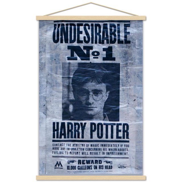 The Wizarding World: Harry Potter - Undesirable Wall Poster, 22.375" x 34", a glossy high-resolution print styled as a Ministry of Magic wanted poster with bold black text 'UNDESIRABLE No. 1' and 'HARRY POTTER' on a textured gray background, featuring a blurred photo area and a reward of 10,000 Galleons, ideal for decorating bedrooms, offices, or dorm rooms.