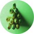 thumbnail image 1 of Ahgly Company Tapis d'Intérieur Rond Lavable en Machine Vert Transitionnel, 3 Pieds Rond, 1 of 7
