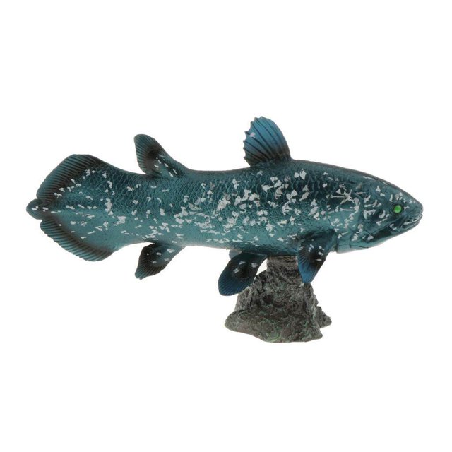 Realistic Static Ocean Animal Model Toy Kids Gift Latimeria Realistic Sea with Base