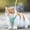 Green, variant on TIMIFIS Cat Harness Cat Belt and Leash Set Walking Adjustable Puppy Mesh Vest S/XL Cat Harness And Leash - Fall