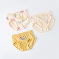 thumbnail image 2 of Girls 3Pc Toddler Kids Cartoon Rainbow Shorts Underwear Clothes, 2 of 3