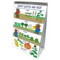 thumbnail image 4 of New Path Learning Np-340021 Tongs Tout sur les Plantes Early, 4 of 4
