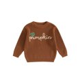 thumbnail image 1 of FOCUSNORM Chandails d'Halloween pour Tout-Petits Citrouille Brodée Lettre Manches Longues Col Rond Tricot Côtelé, 1 of 9