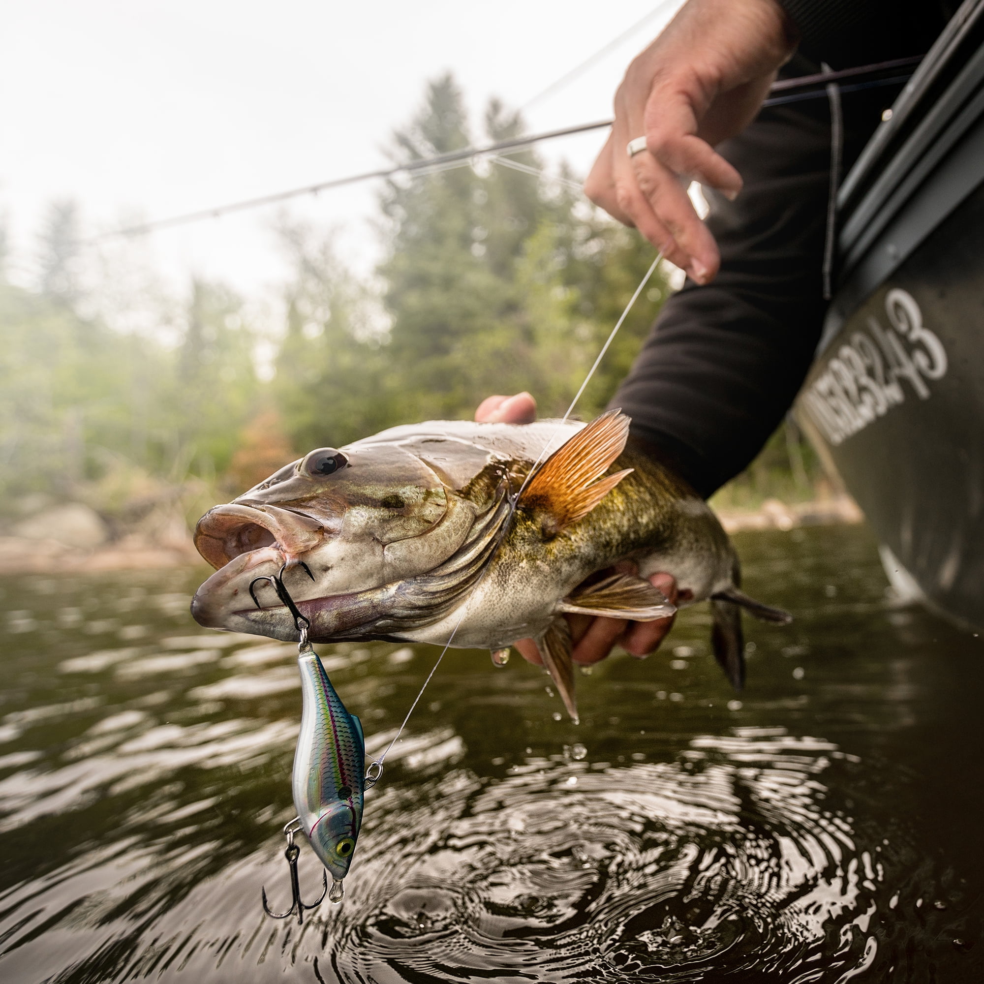 Rapala Rattlin' Rapala 3-1/8", Holographic Shad