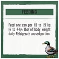 thumbnail image 3 of Beyond Grain Free Duck & Sweet Potato, Wet Cat Food 85g, 3 of 9