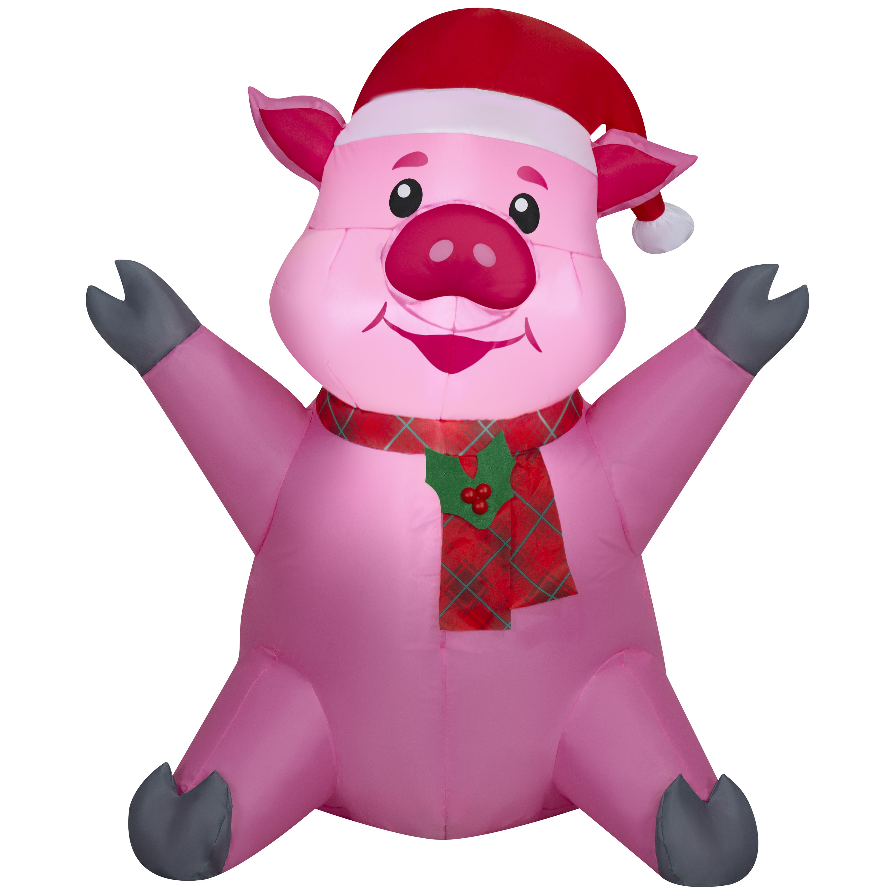 3,3' COCHON DANS LE CHAPEAU INFLA