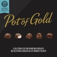 thumbnail image 3 of Collection chocolats au lait Pot of Gold_FR, 3 of 7