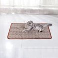 thumbnail image 1 of <p>Dog Ice Pad, Heat Dissipation Breathable Comfortable Safe Fashionable Easy Cleaning Pet Cooling Mat  For Summer For Outdoor</p>, 1 of 8