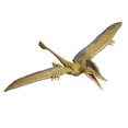 thumbnail image 3 of Jurassic World Rebirth Frenzy Pack Ceoptera Dinosaur Figure, Authentic Toy, Digital Play, 3 of 6