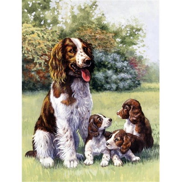 Carolines Treasures BDBA0288GF Springer Spaniels by Daphne Baxter Flag Garden Size