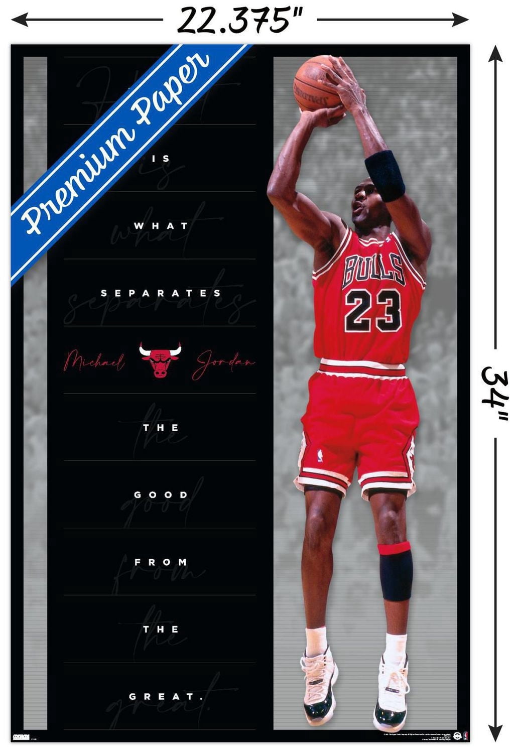 Michael Jordan - Heart Wall Poster, 22.375" x 34"