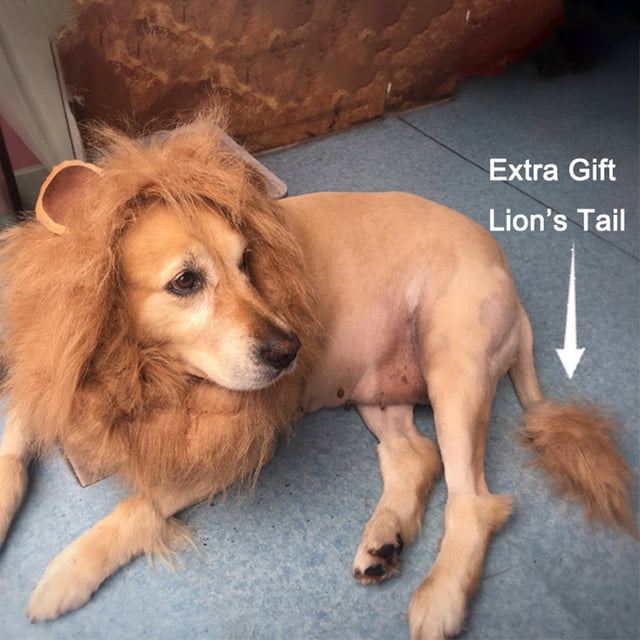 CBFFDC Adjustable Lion Mane for Dogs Dog Lion Mane with Ears Adjustable Pet Costume for Medium to Large Dogs 19 28 Inches Neck Size Brown Lion Mane with Tail