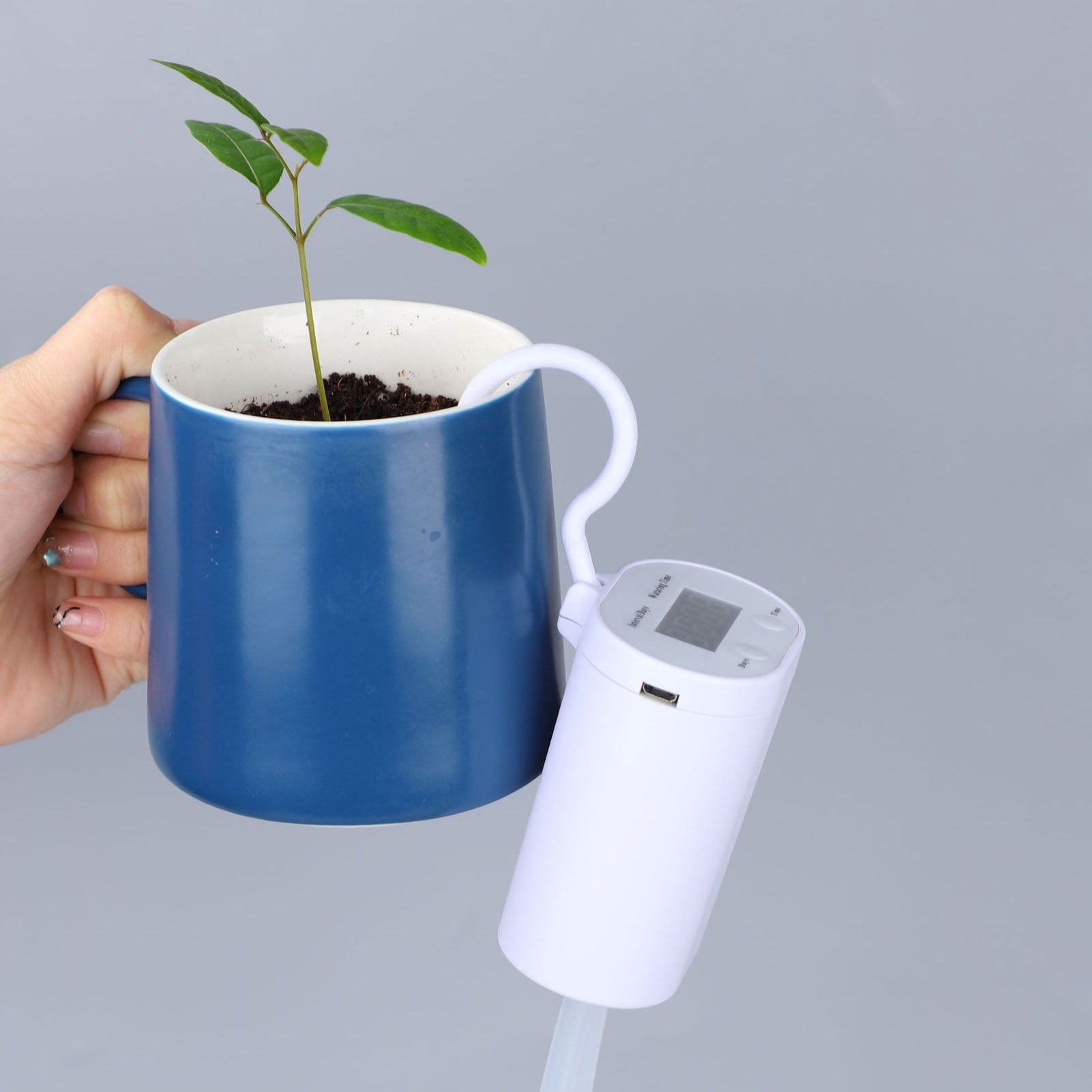 Automatic Watering System, Indoor Drip Irrigation Kit for Potted Plants ...