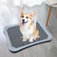 thumbnail image 3 of lionlar Dog Toilet Pee Pad Removable with Urinary Column Keep Clean Washable Puppy Potty Black, 3 of 9