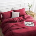 thumbnail image 3 of Duvet Cover Queen -Piece Prewashed Ultra Soft Queen Bedding Set - Features Zipper Closure and Corner Ties Includes Duvet Cover x Pillowcases No Comforter, 3 of 7