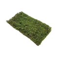 thumbnail image 2 of Milaget Grass Tufts Model DIY Simulation Grass Cluster DIY Scenery Landscape Railway S S, 2 of 9