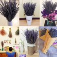 thumbnail image 3 of Natural Dried Lavender Bunch Perfect Gift for Aromatherapy and Home Dcor νс т п\, 3 of 8
