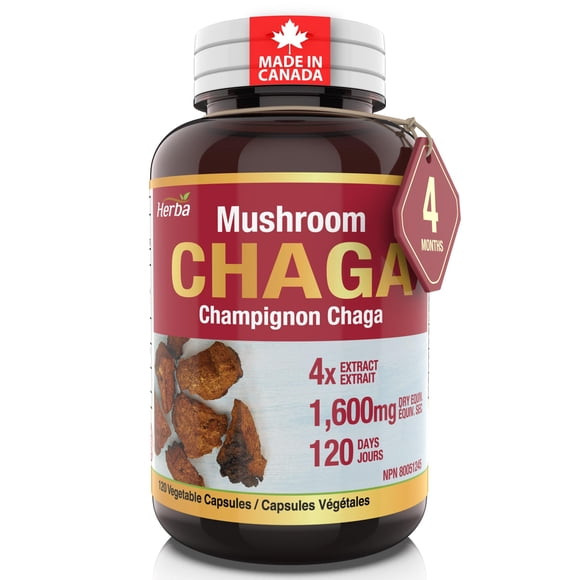 Herba Chaga Mushroom Capsules 400mg - 120 Vegetable Capsules | 4:1 High Concentrate | Made in Canada