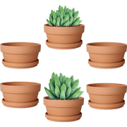 4.5 Inch Terracotta Shallow Succulent Pot - 6 Pack Terra Cotta Clay Pots with Saucer, Cacuts Terra-Cotta Indoor and Outdoor Planters with Drainage Hole