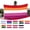 C #2, variant on Vaidha Flag Flag Progress LGBT Flags 3x5 Outdoor Bisexual All Inlcusive Flag Heavy Duty Polyester Flags Deco Bisexual Lesbians