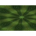 thumbnail image 1 of Ahgly Company Machine Washable Indoor Rectangle Transitional Dark Forest Green Area Rugs, 7' x 9', 1 of 7