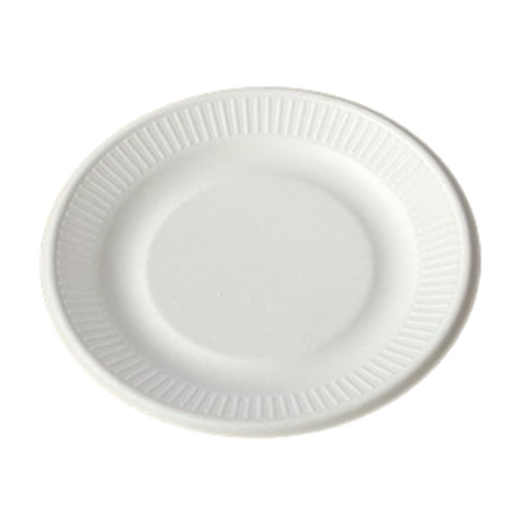 Biodegradable Disposable Paper Plates Made of Cane Bamboo Pulp, Pack of 10 for Household BBQ and Parties, EcoFriendly for Outdoor Picnics and Crafts