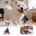 thumbnail image 1 of Durable Fall Themed Interactive Squeaky Chew Toy for Dogs of All Sizes, 1 of 4