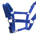 thumbnail image 5 of Collier de Tête de Cheval Épais Équitation Stable Protecteur - Multicolore, Bleu P, 5 of 5