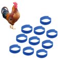 thumbnail image 1 of Rooster Collars, Noise Free Chicken Collars Adjustable Soft 7.1x0.8in  For Disturbing Neighbors Blue,Green,Yellow, 1 of 8